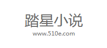 踏星小说logo